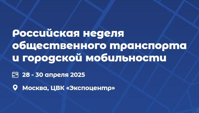 Инфраструктура электрической мобильности (EMI 2025)