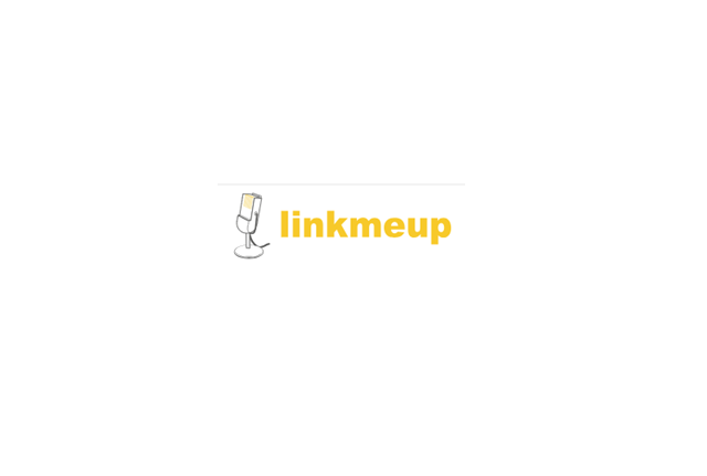 Linkmeetup. Митап от IT для IT